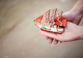 Tiny toy boat symbolizes the new life of a young family Royalty Free Stock Photo