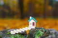 Tiny Toy House Set on a Tree Stump in the Forest
