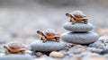 Tiny turtles on stacked stones Royalty Free Stock Photo