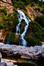 A tiny water falls with green plants all around it Royalty Free Stock Photo