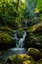 tiny waterfall in forest with green environment