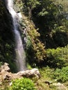 Tiny Waterfall in the middle of forest