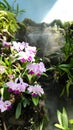 Tiny waterfall model surrounded by flowers and plants