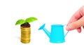 Tiny Watering Can in Hand by a Coins Stack with Young Sprouting Royalty Free Stock Photo