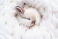 Tiny white beige baby rabbit slipping in furry nest top view lay out