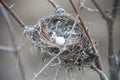 Tiny white egg in nest