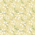 Tiny white flowers on the beige background.Cute abstract seamless pattern with Summer floral vector illustration.