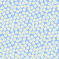 Tiny white flowers on blue background, seamless pattern, millefiori, summer theme