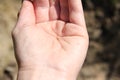 Tiny whitebait fish on a man& x27;s hand. Close up.
