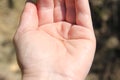 Tiny whitebait fish on a man& x27;s hand. Close up.