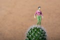 Tiny woman figurine standing on a on cactus plant