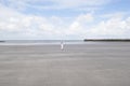 tiny woman runs open arms along the beach to the sea