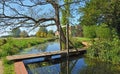 Tiny wooden foot bridge stream and trees.