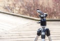 Tiny woodpecker bird perched on top of a photographers tripod, b