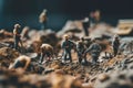 Tiny workers in protective helmets and vests doing earthworks close up. Generative AI illustration