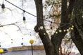 Tiny yellow lights hanging from a black wire around a tree surrounded by tall circular light posts with gray sky