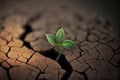 Tiny young plant growing through a crack in dry soil close up, ecology concept. Generative AI illustration Royalty Free Stock Photo