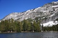 Tioga Pass Road, Yosemite National Park Royalty Free Stock Photo