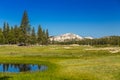 Tioga Pass