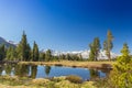 Tioga Pass