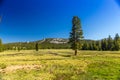 Tioga Pass