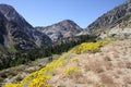 Tioga Road