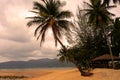 Tioman island, Malaysia Royalty Free Stock Photo