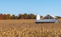 Tionesta, Pennsylvania, USA October 24, 2023 A barn in a field of dying corn Royalty Free Stock Photo