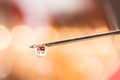 On the tip of a needle from a syringe drop of liquid Royalty Free Stock Photo