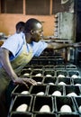 Tip Top Factory in Uganda