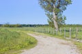 Tipical country road in Tuscany countryside with agricultural field, tree and wooden palisade Royalty Free Stock Photo