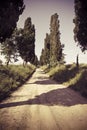 Tipical country road in Tuscany countryside called white road Royalty Free Stock Photo