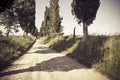 Tipical country road in Tuscany countryside called white road - Italy Royalty Free Stock Photo