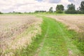 Tipical country road in Tuscany countryside (Italy) Royalty Free Stock Photo