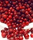 Tipped over bowl full of red lingonberries