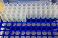 Tips in blue plastic rack for micropipette Royalty Free Stock Photo