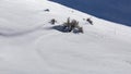 The tips of a few sagebrush plants stick out of the white drifted snow while the drift in the background is in blue shadow Royalty Free Stock Photo