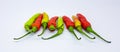 Tips on growing your own chile peppers in colorado