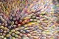 The tips of many colorfull pencils