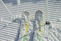 The tips of the skis on the fresh velvet ski slopes. Alpine skiing freeride in Rosa Khutor