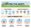 Tips for tick safety vector infographic design