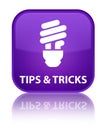 Tips and tricks (bulb icon) special purple square button Royalty Free Stock Photo