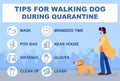 Tips for walking dog during quarantine coronavirus 2019-covid. Infographics recommendations for walking outside. Masked woman dog