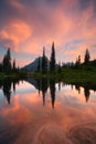 Tipsoo lake reflections in the morning Royalty Free Stock Photo