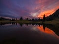 Tipsoo Lake at Sunset Royalty Free Stock Photo