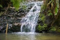Tiptoe waterfall in Portola Redwoods State Park, California Royalty Free Stock Photo