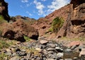 Tirajana ravine, Canary islands Royalty Free Stock Photo
