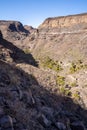 Tirajana ravine rocky landscape with palm trees in the background, in the surroundings of \