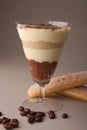 Tiramisu Royalty Free Stock Photo