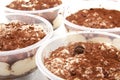 Tiramisu Royalty Free Stock Photo